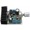 Modulo amplificador audio 15W mono 12V DC ou 6-18V AC
