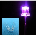 5X LED 3mm Cristal Rosa Alto Brilho